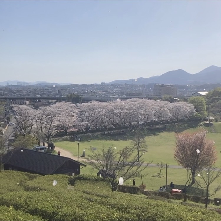 私のお話