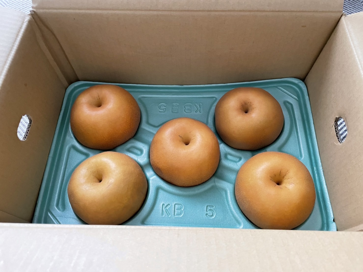 秋の味覚