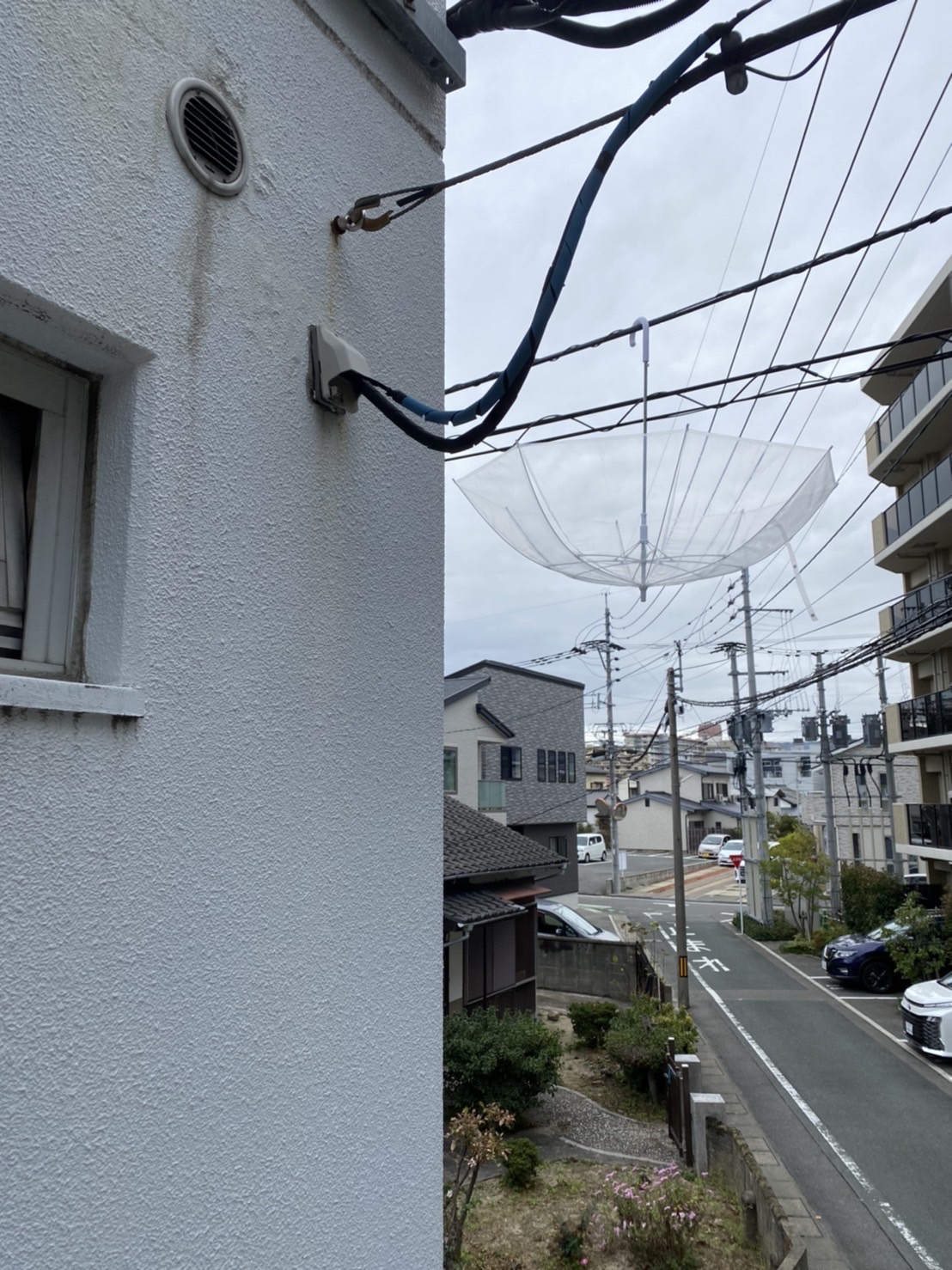 ワタシノカサガ･･･