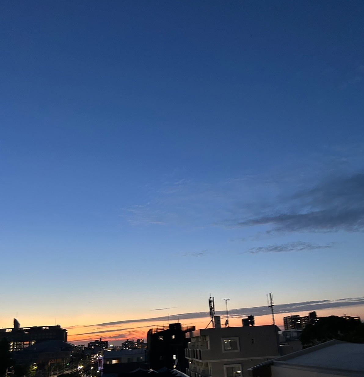 癒しの時間　#24　平良文果
