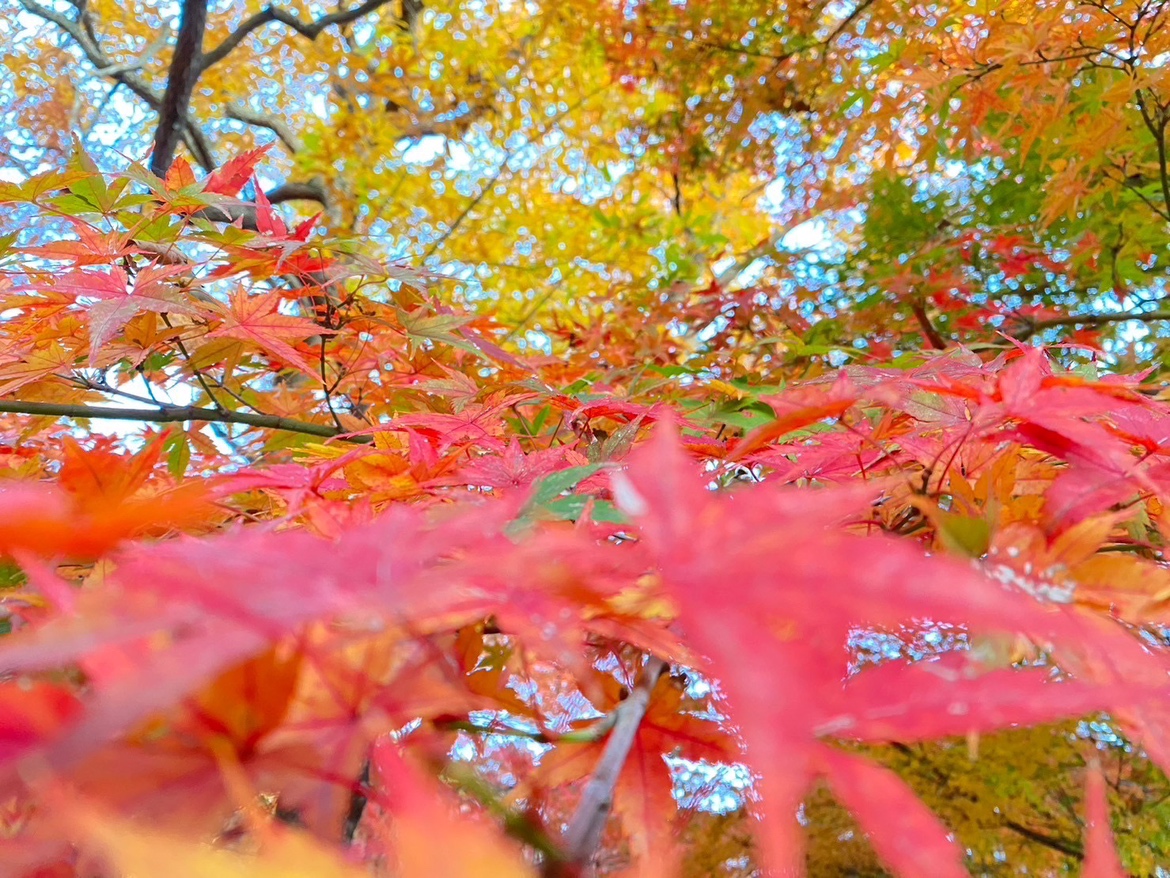 【Off The Pitch】紅葉🍁　#6浮田琴音