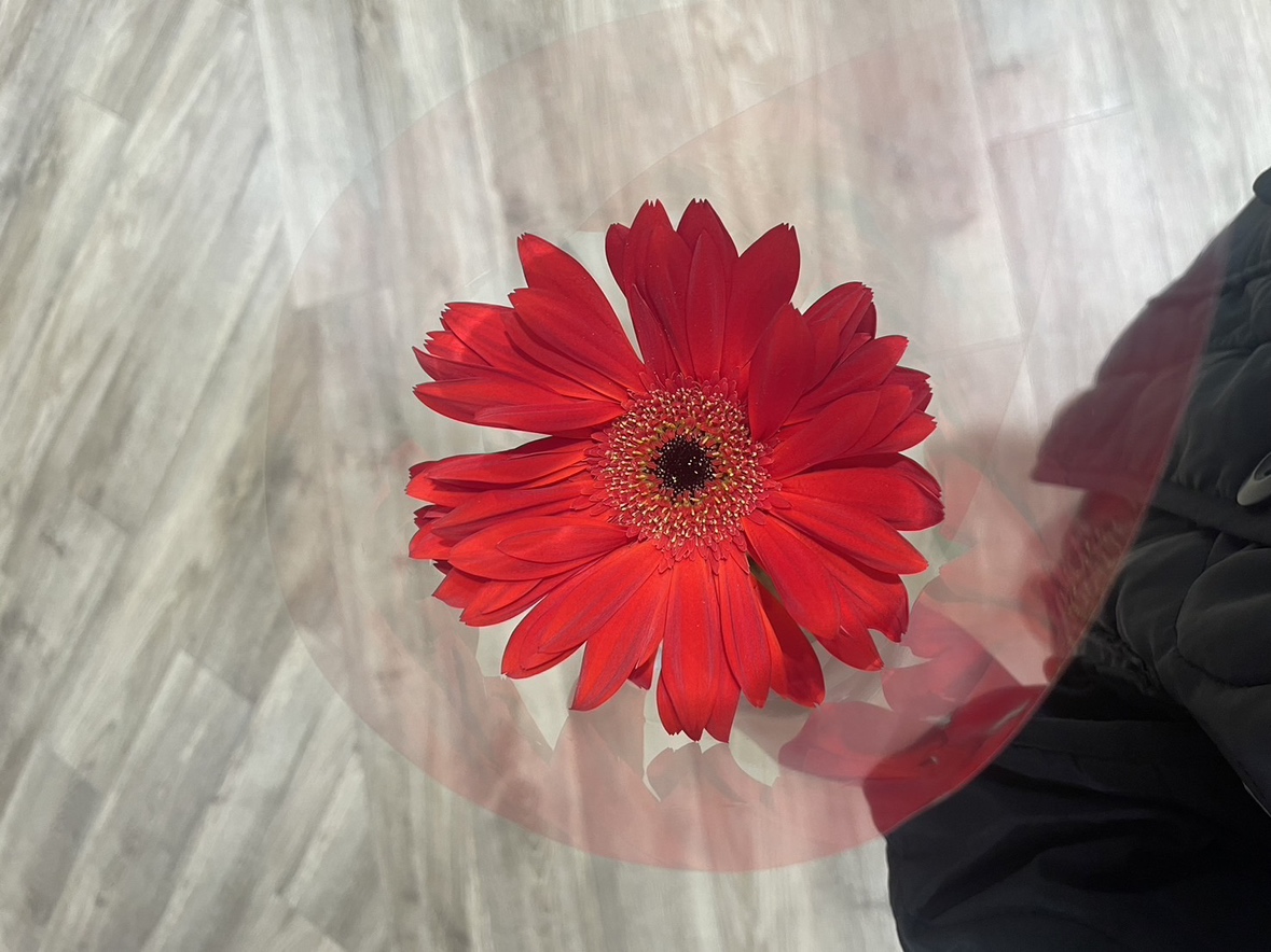 花💐　氏家七海