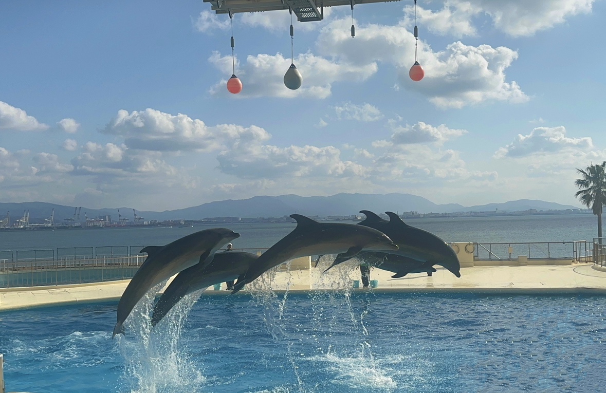 オフの日のお話🌟🐠　原日樺